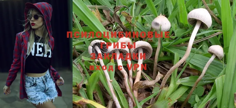 Псилоцибиновые грибы Magic Shrooms  omg   Арамиль 