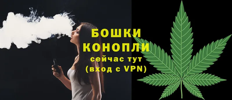 цены   Арамиль  Бошки марихуана OG Kush 